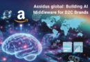 Assidus Global - AI Middleware for D2C Brands - The D2C Pulse
