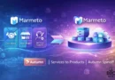 Marmeto Pivots from Services to Product Company - The D2C Pulse